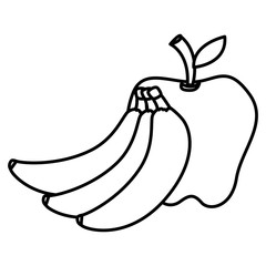 fresh and healthy fruits vector illustration design