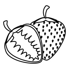 strawberry fresh fruit healthy vector illustration design