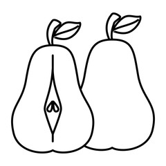 pear fresh fruit healthy vector illustration design