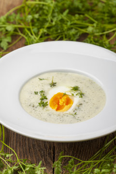 frischen Kerbelsuppe in einem Suppenteller auf Holz