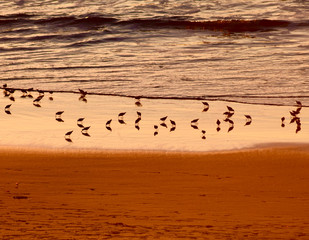 Sunset in Carmel, California