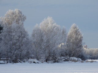 Winter frosty day