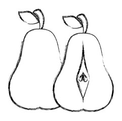 pear fresh fruit healthy vector illustration design