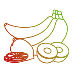 fresh and healthy fruits vector illustration design