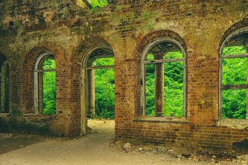 The ruins of the old manor. The ruins of the Palace in the woods.