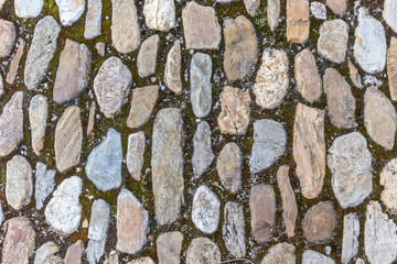 Cobble Stone bricks floor with pattern and dirt medival construction