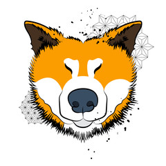 Geometric design and cartoon dog. Japanese dog. Cool poster for t-shirt.