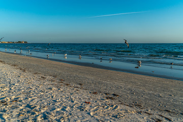 Walking the beach in Treasure Island Florida and catching an amazing sunset.