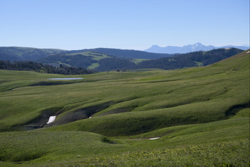 Folded Hills in the Gravelly Range of Montana
