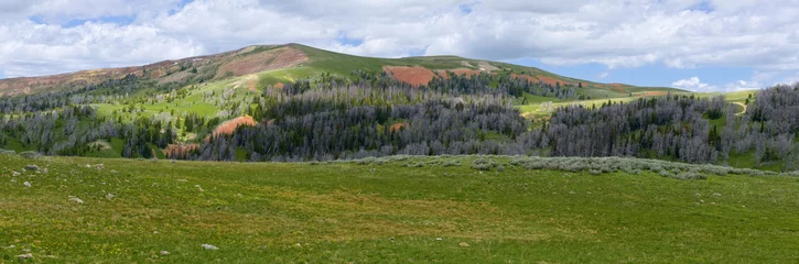  Ridge in de Gravelly Range van Montana © larson755