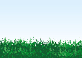 Fototapeta na wymiar Green grass on a blue background with space for text.