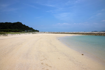 静かな南国のビーチ