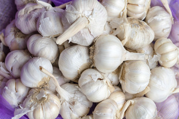 Garlic and Garlic Cloves and bulb