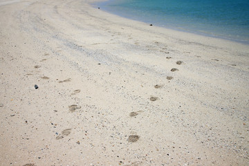 ビーチでUターン