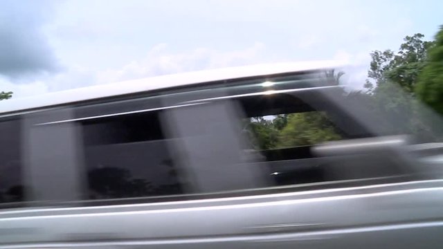 Nice Equatorial forest from a car - Gabon