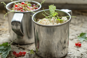 White and red currant in metal mugs