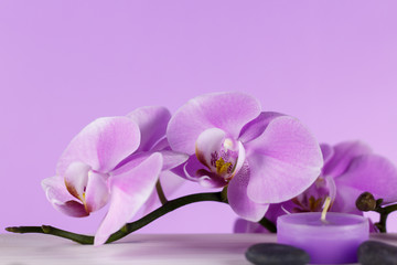 Pale purple orchid on a white table with purple background. On the table is a fragrant candle