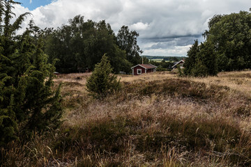 Bewachsenes Gräberfeld in Südschweden