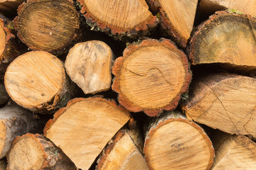 Folded firewood. Close-up