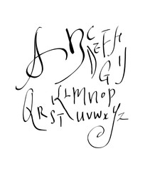 벡터 문자 / 손으로 쓴 글씨체