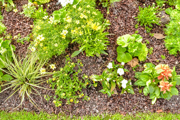 massif de fleures