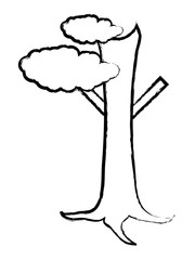 tree with little foliage icon over white background, vector illustration