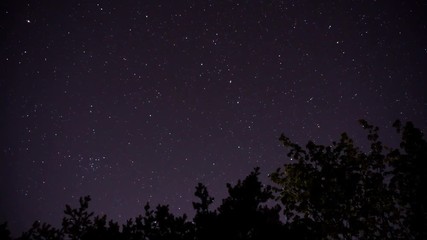 Night sky timelapse with trees against stars