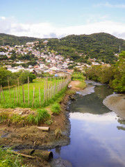 Fototapeta premium Comunidade do Sol Nascente settlement on a hill in Saco Grande neighborhood - Florianopolis, Brazil