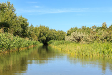 Sunny summer day in a beautiful river landscape