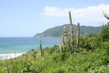 Colombian Coast