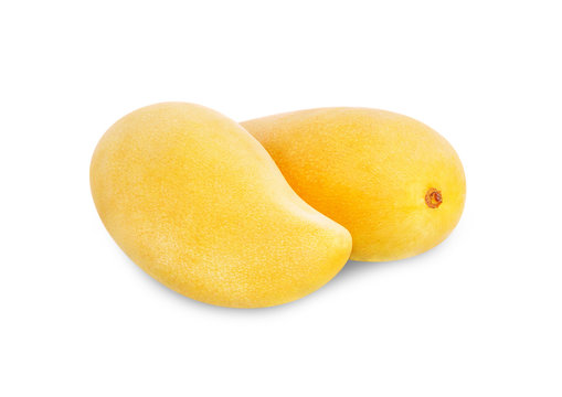King of fruits,  yellow Mango fruit duo isolated on white background