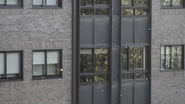 polen ciudad