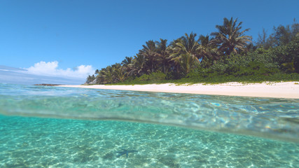 Fototapeta na wymiar HALF UNDERWATER Dark starfish sits on the white sand ocean floor on a sunny day.