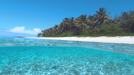 Fototapeta na wymiar HALF UNDERWATER: Turquoise ocean water washes the breathtaking white sand beach.