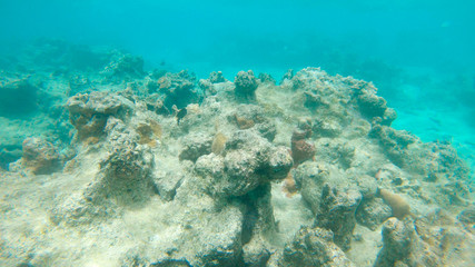 UNDERWATER: Grim view of decaying ocean floor and bleached coral reef in Pacific © helivideo