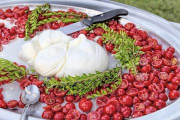 Buffalo buffalo mozzarella served with Pachino tomatoes - selective focus