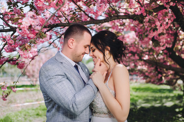 Fototapeta premium Beautiful, young and cute newlyweds hug and laugh in a blooming pink sakura, on a sunny day. Spring wedding portrait close-up of a smiling groom and cute bride brunette in a white dress.