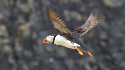 Munster Province Republic of Ireland