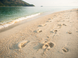 Footprints in sand beach.