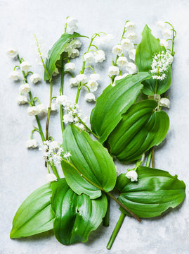 Lily of the valley cut flowers and leaves, overhead view