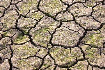 This image is a closeup to a dried ground on a river 