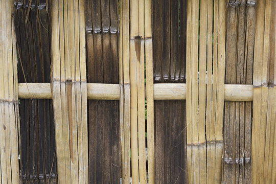 Cut Bamboo Wall