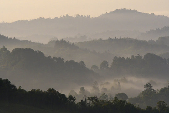 Landscape of a rainforest China