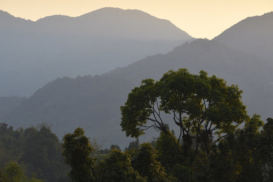 Landscape of a rainforest China