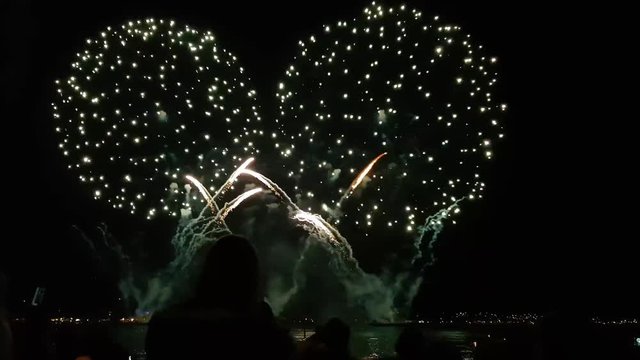 Firework at the sea in Germany.