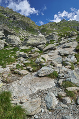 Rocky mountains in the summer