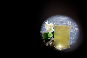 Look like from binoculars on green tea with jasmine flowers in a glass cup. Place under your text.
