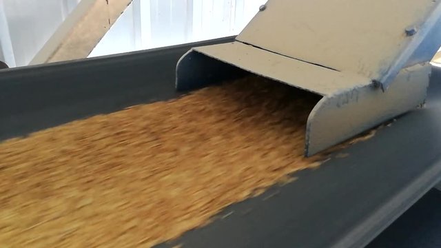 grain roller matchine in agriculture02