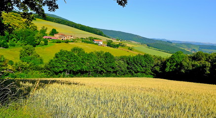 CAMPAGNE PILAT LOIRE
