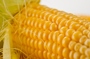 Corn bright juicy vegetarian shot over white background